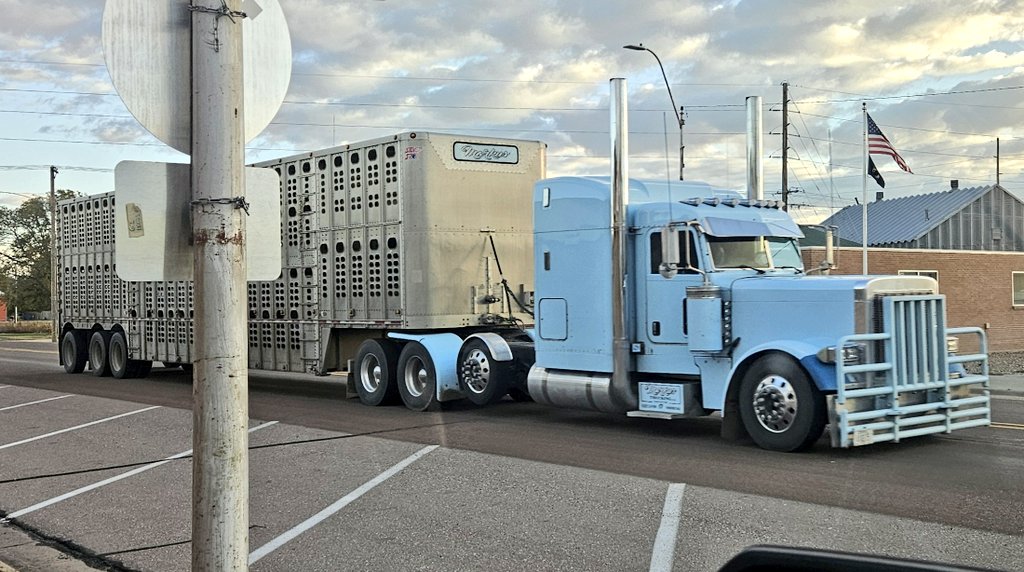 BenRand10's tweet image. #sharp