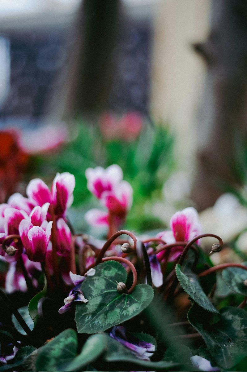 のぶちゃん様の専用ページ のぶちゃん様の専用ページ のぶちゃん (@Zxn9LICKUfwObuY) / Posts / X