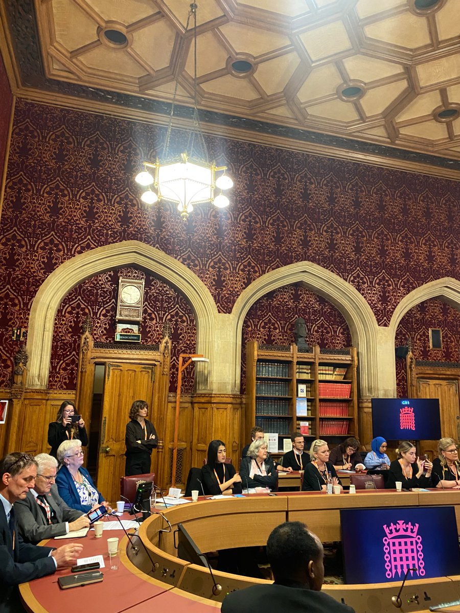 APPGTigray's tweet photo. @MarysMeals Heartfelt thanks to our Chair, @Margaret4DR and Officer Lord Browne of Ladyton, for leading a the discussion on the ongoing challenges and the need for continued UK engagement. https://t.co/PgL3ilLtmi