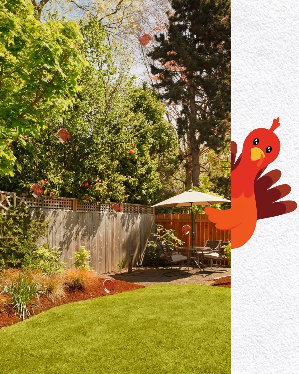 premiumlahomes's tweet image. 📷 Thanksgiving Mini Game!
Can you spot all 6 hidden turkeys in the backyard? 📷​
Look closely and comment how many you found below! 📷📷​
#ThanksgivingFun #MiniGame #FallVibes #HomeForTheHolidays #FamilyTime