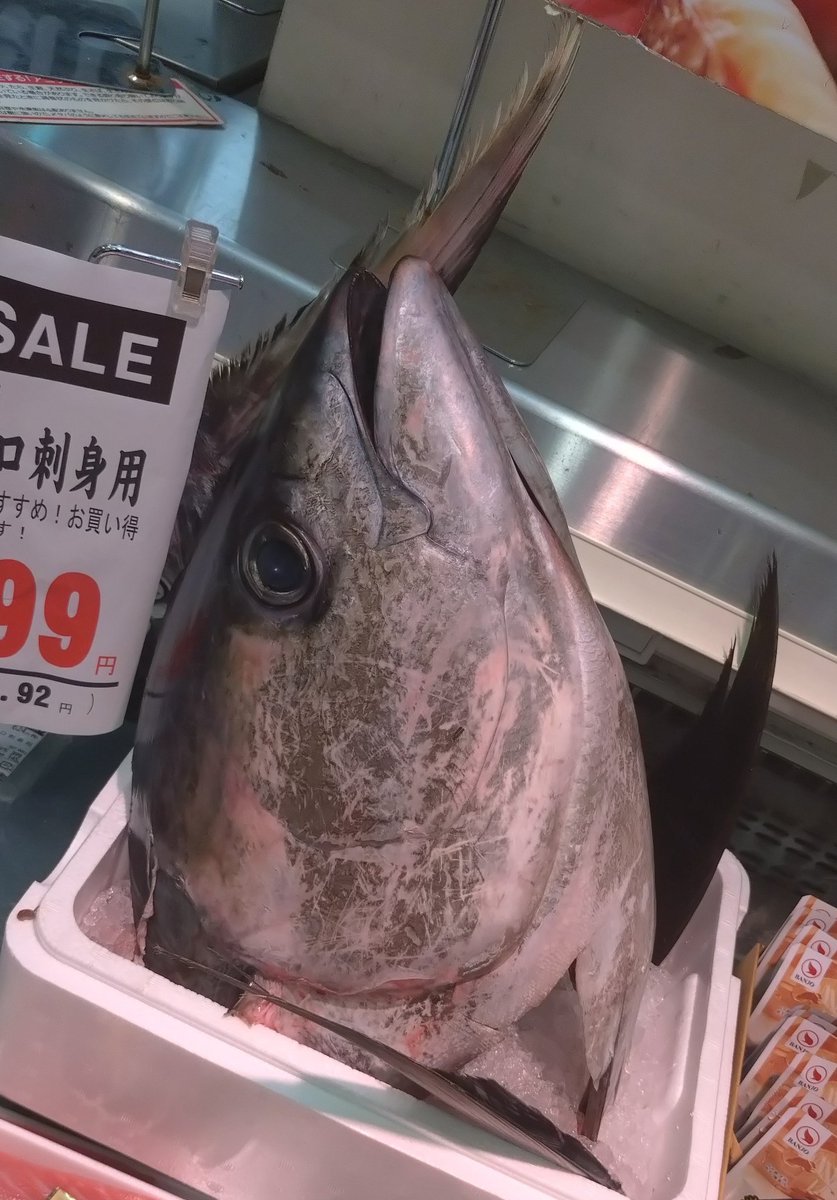 Firer アキラ Firer アキラ Firer アキラ Geinoh Yamashirogumi-Soundtrack