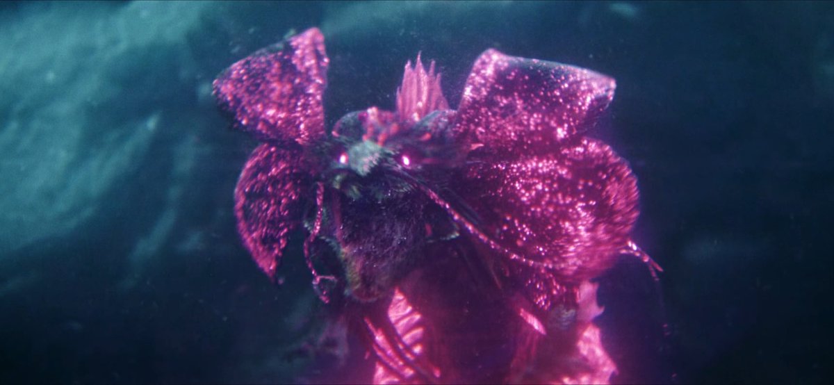 Mr. Goji  tweet media