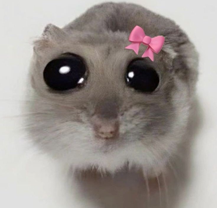 ᅠ ᅠ ᅠ * ˖ ݁݁ᅠ 𝐈𝄒𝐌 ᅠ 𝐀 ᅠ𝑺𝐀𝐈𝐍𝐓 ．ᅠᅠ ᅠ ᅠ tweet media