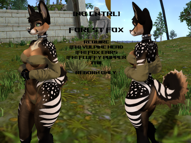 A little Forest Fox, I love how it turned out

marketplace.secondlife.com/p/NoCtrL-Fores…
#SecondLife 
#Furry