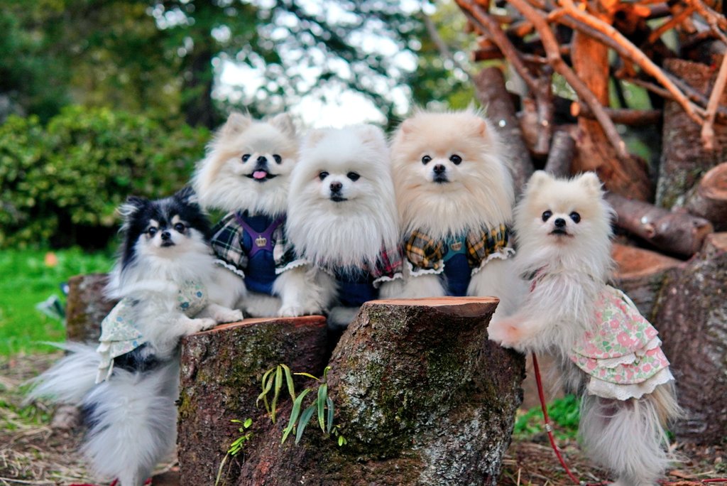 Soymeソンメ 2712 | Zombies in Miami