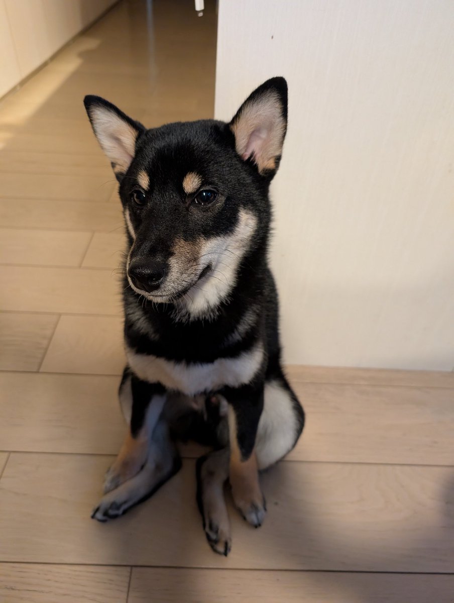 変な座り方のもなか