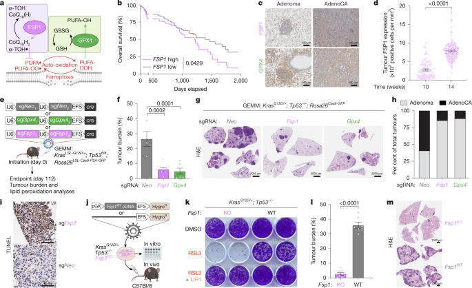 Waggoner Lab tweet media