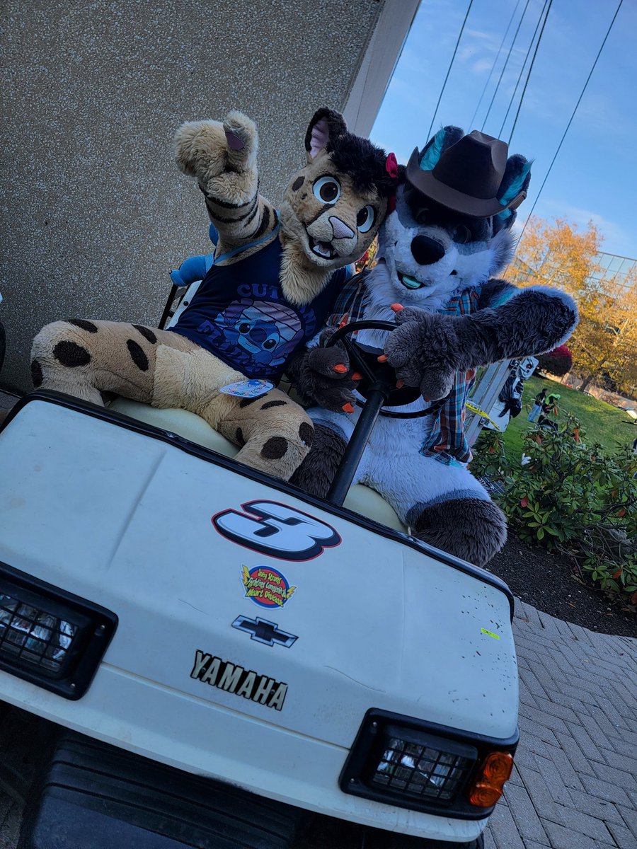 Chirpy Chee 𓃮 tweet media