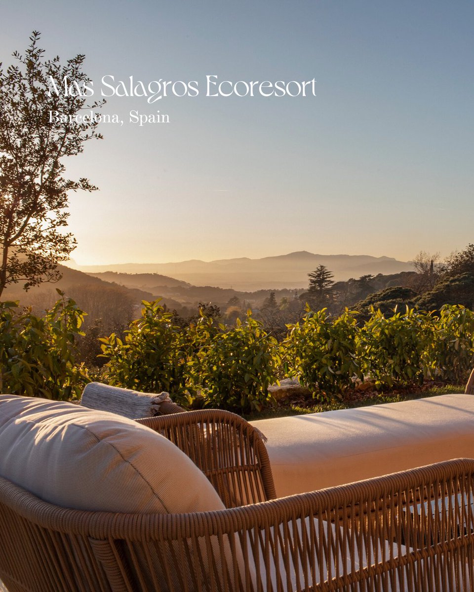 Stay Beyond Green tweet media