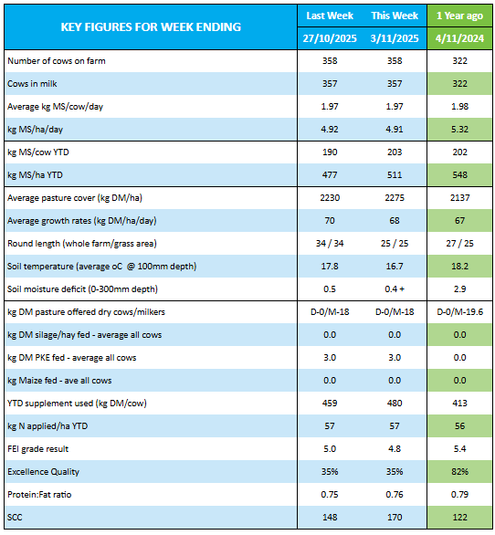 OwlFarmNZ tweet media