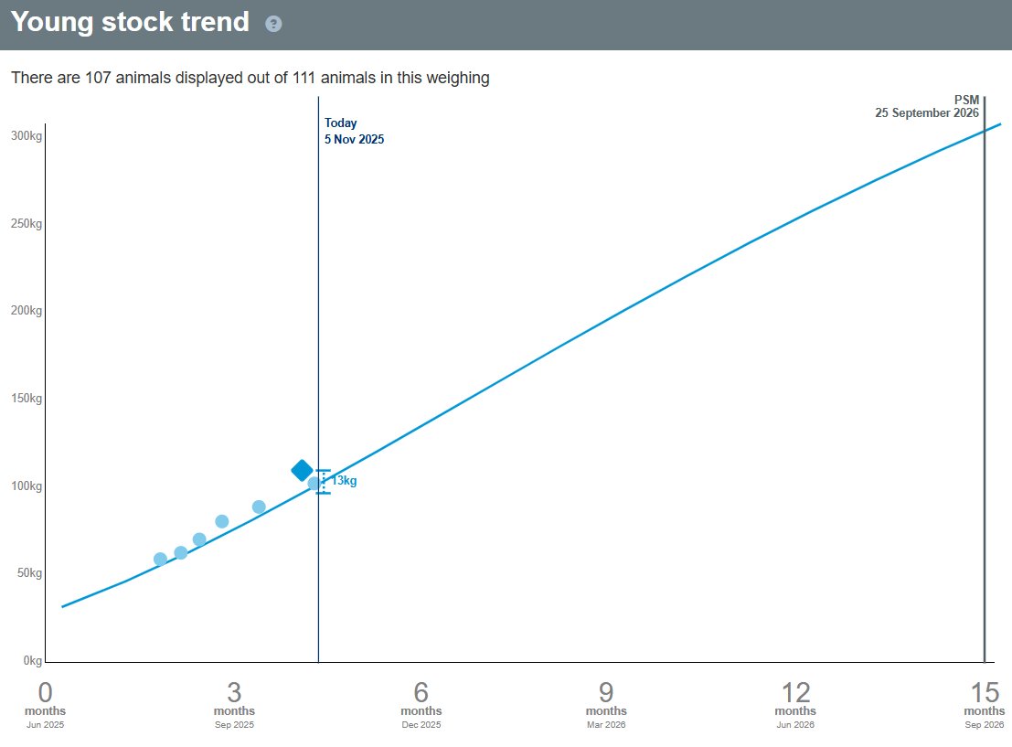 OwlFarmNZ tweet media