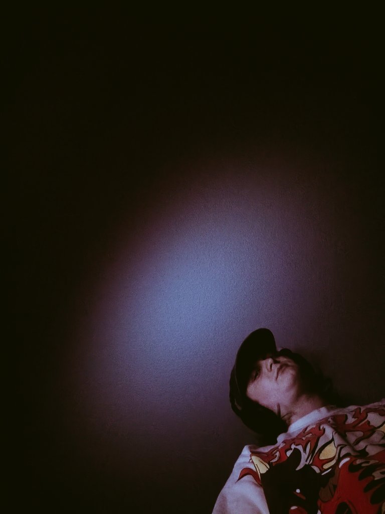 Ailu Red Panda tweet media