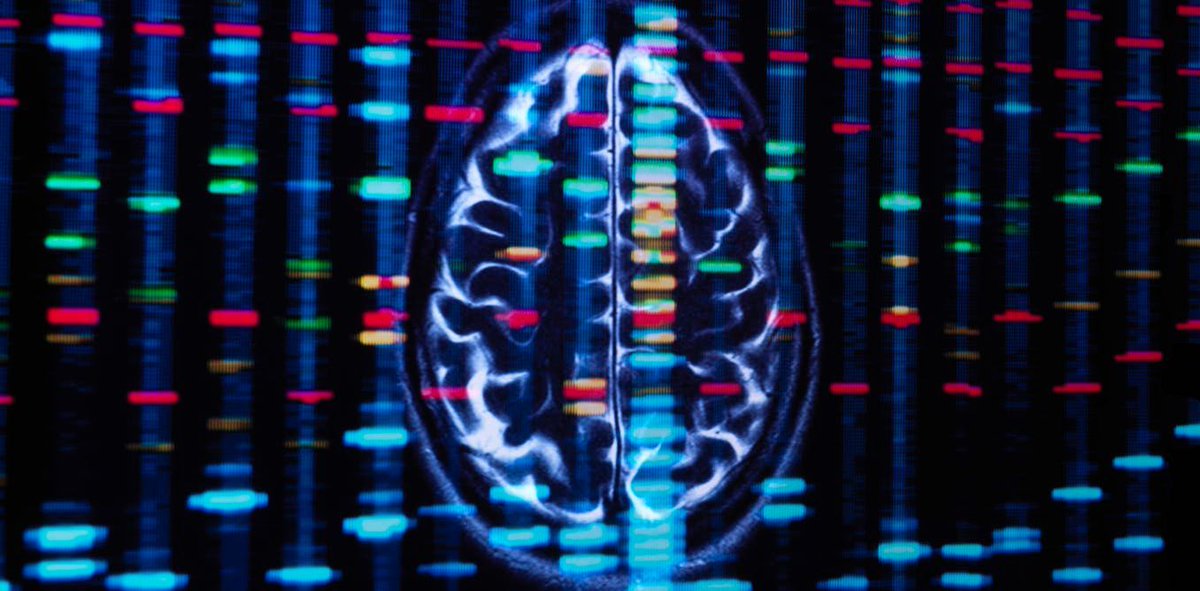 Hundreds of genes act differently in the brains of men and women
buff.ly/10P6zr5