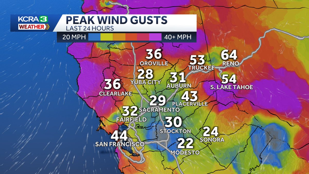 Heather Waldman tweet media