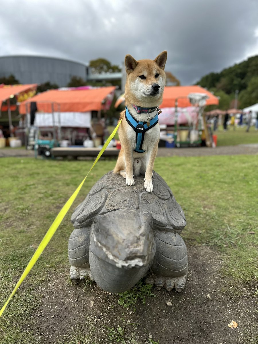 \いざ行かん！！竜宮城へ/