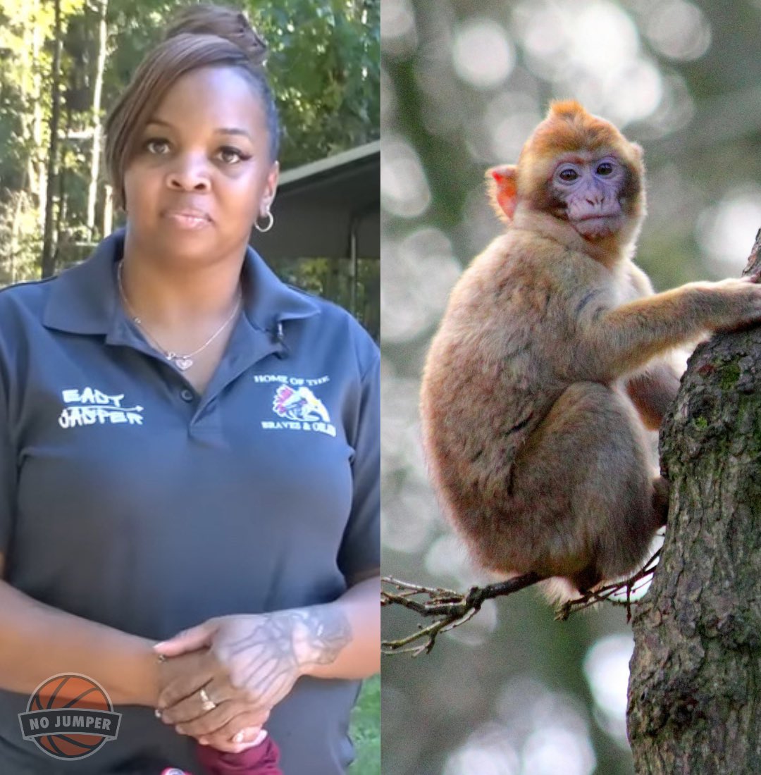 PhaedraXTeddy's tweet image. Most likely any animal within shooting range gets shot in moms yard. That's all it takes to be an American hero. 
#StopAnimalTesting, it's obsolete and we don't deserve animals.