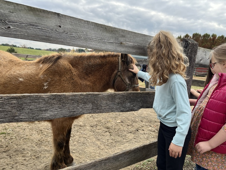 We had an amazing visit to Clark's Elioak Farm today! We fed goats, learned about animals, and connected our learning to the real world. #RAMS
