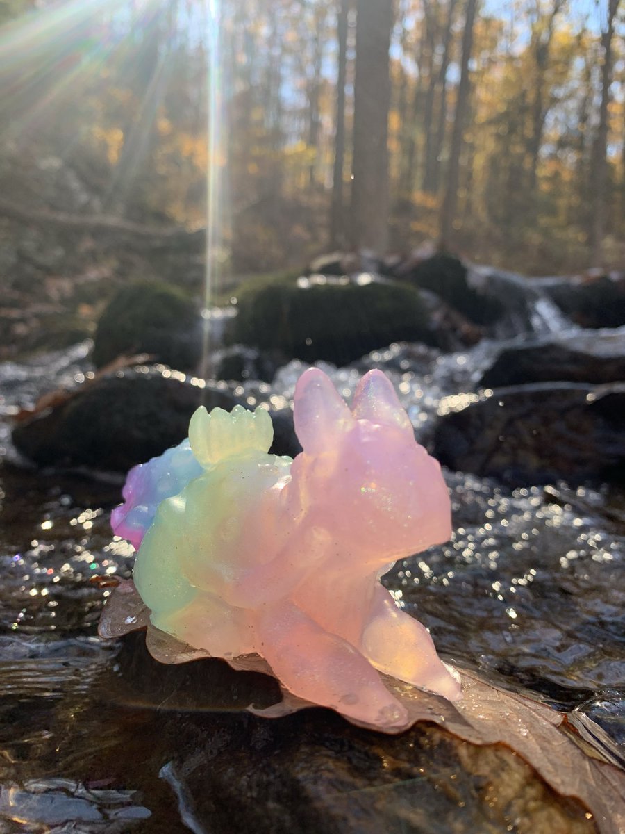 🍂🍁🪨
At peace✨