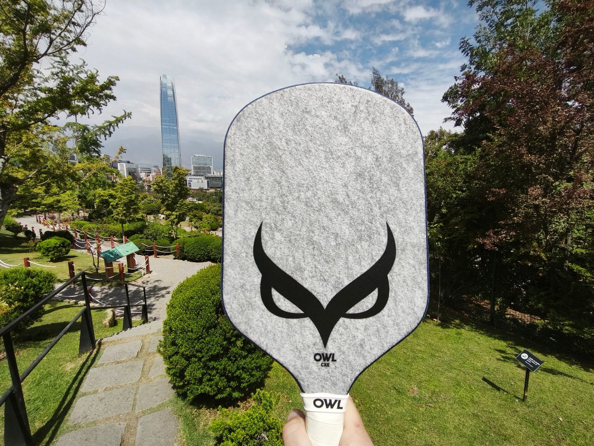 OwlPickleball's tweet image. Global OWL Paddles Spotting 🌎 | Santiago, Chile

Here at the Japanese Gardens with the Costanera Center — the tallest building in the Southern Hemisphere.

The OWL CXE keeps flying to new heights. #OWLRevolution .

Where will you spot it next? 🦉

owlpaddle.com