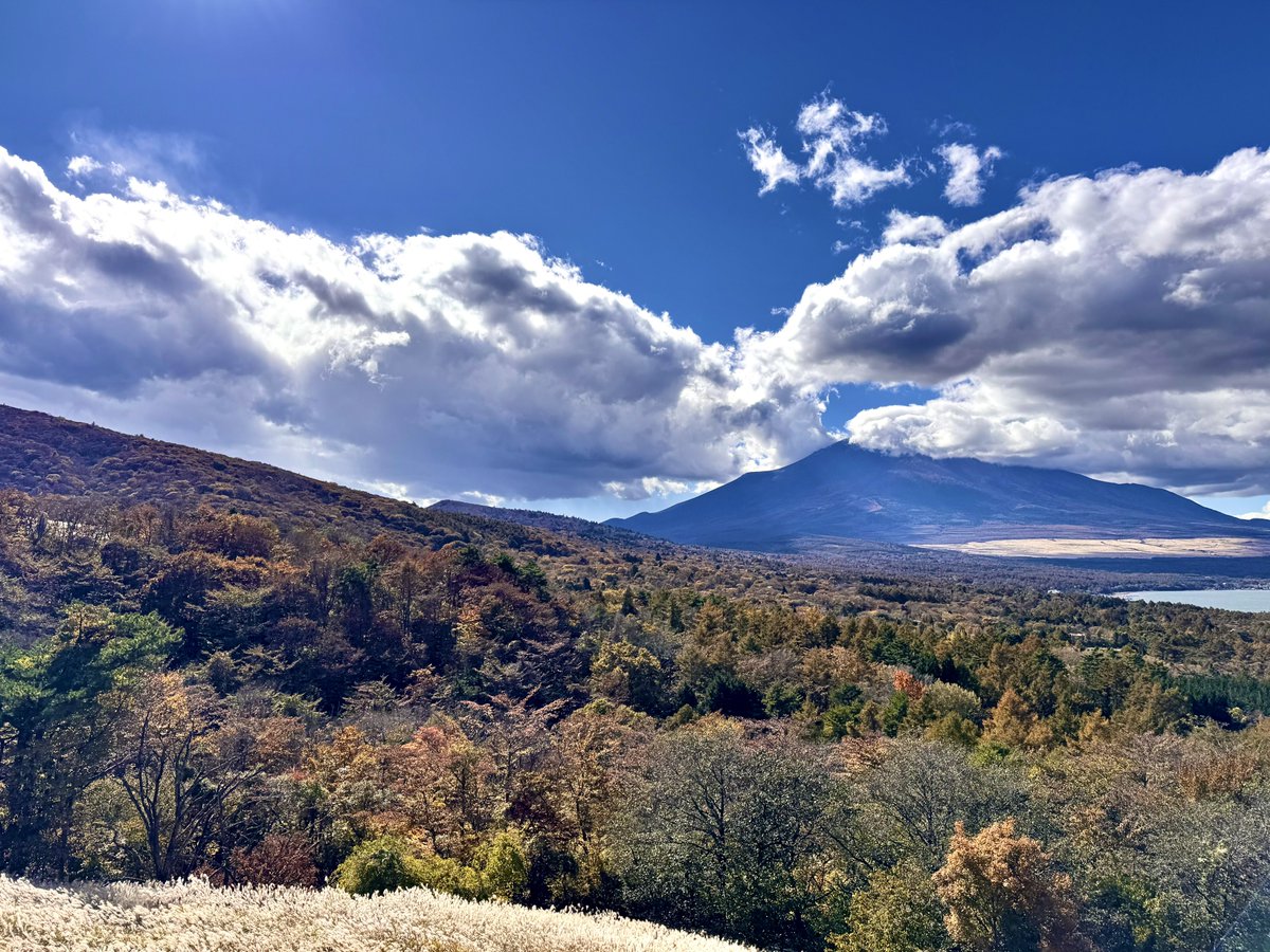 つばき🇬🇧SSTR2025完走🐯 on X