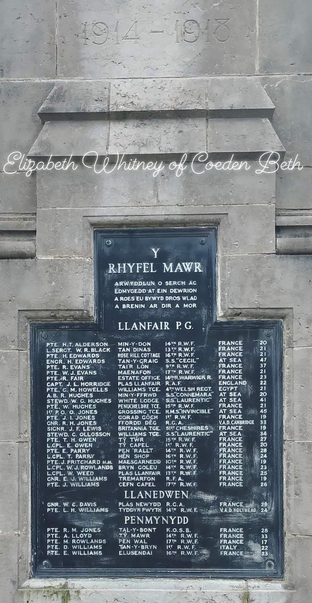 Coeden Beth tweet media