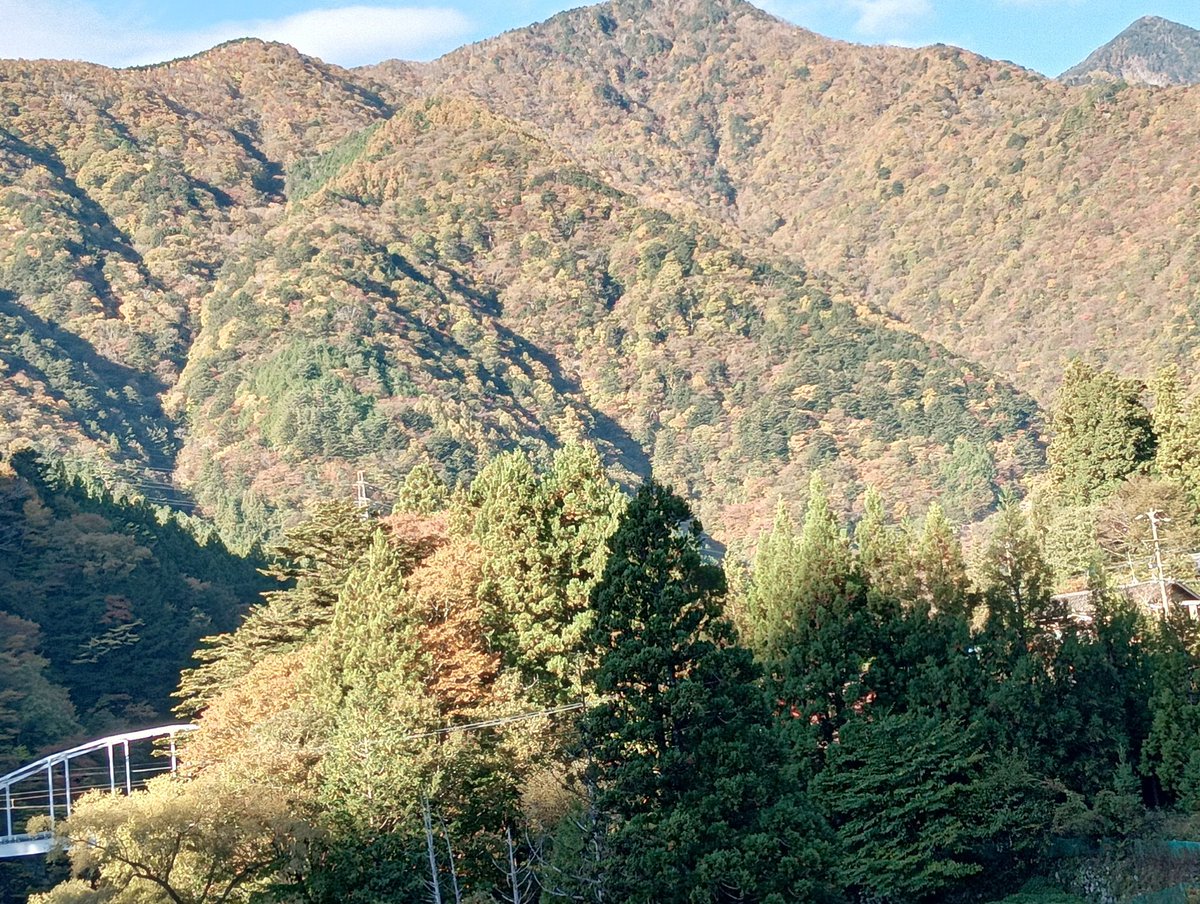 たかさん ExLights ソーラーポールライト CUBE /A: ライト