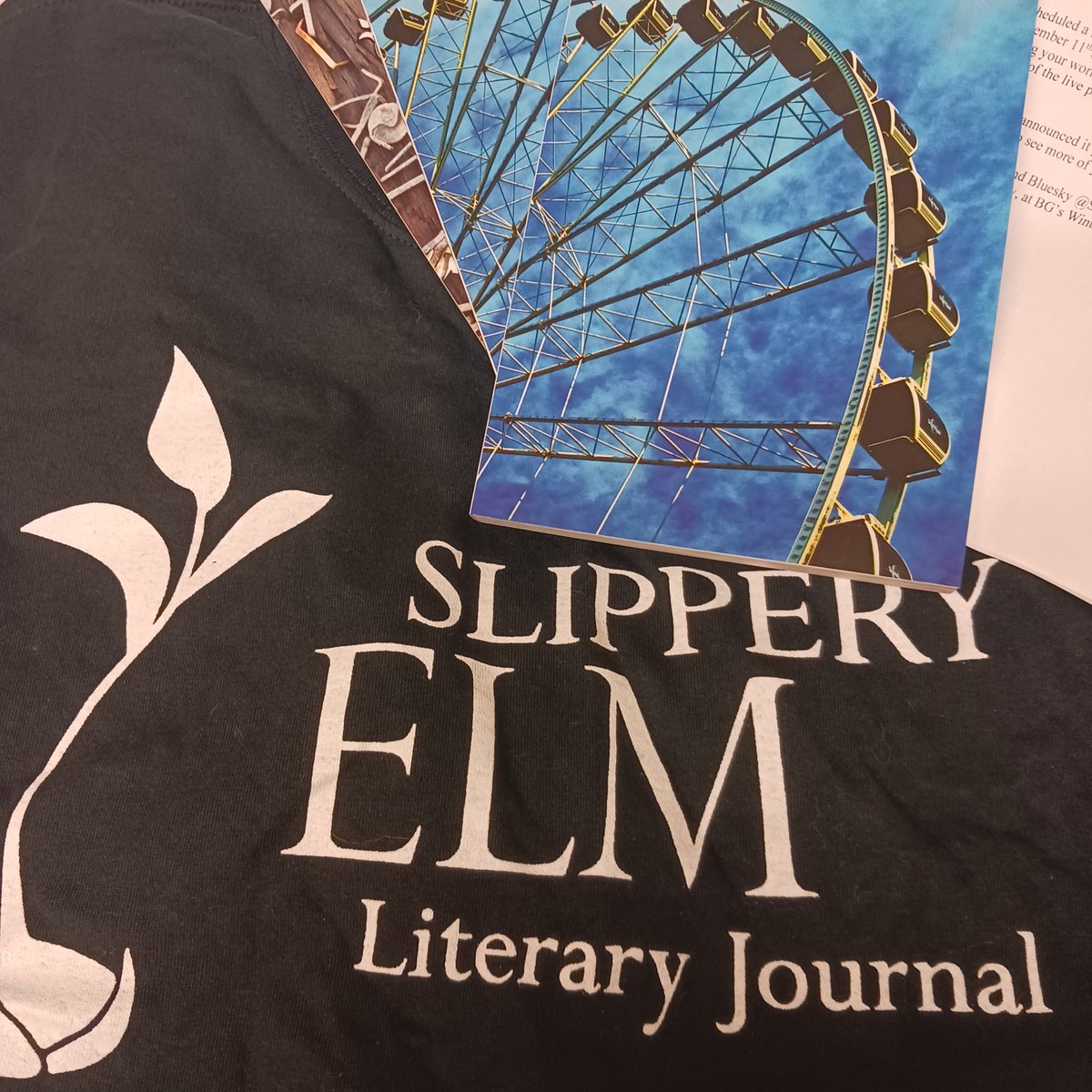 DebsValidation's tweet image. "Appear in @SlipperyElmLJ" can finally be crossed off my to-do list, and I've got the T-shirt to prove it! SE 2025 is available to purchase. If you're near Findlay and amenable to reading poetry, I'm looking for someone to attend the party &amp;amp; stand in for me.  Dave did a 👌 layout