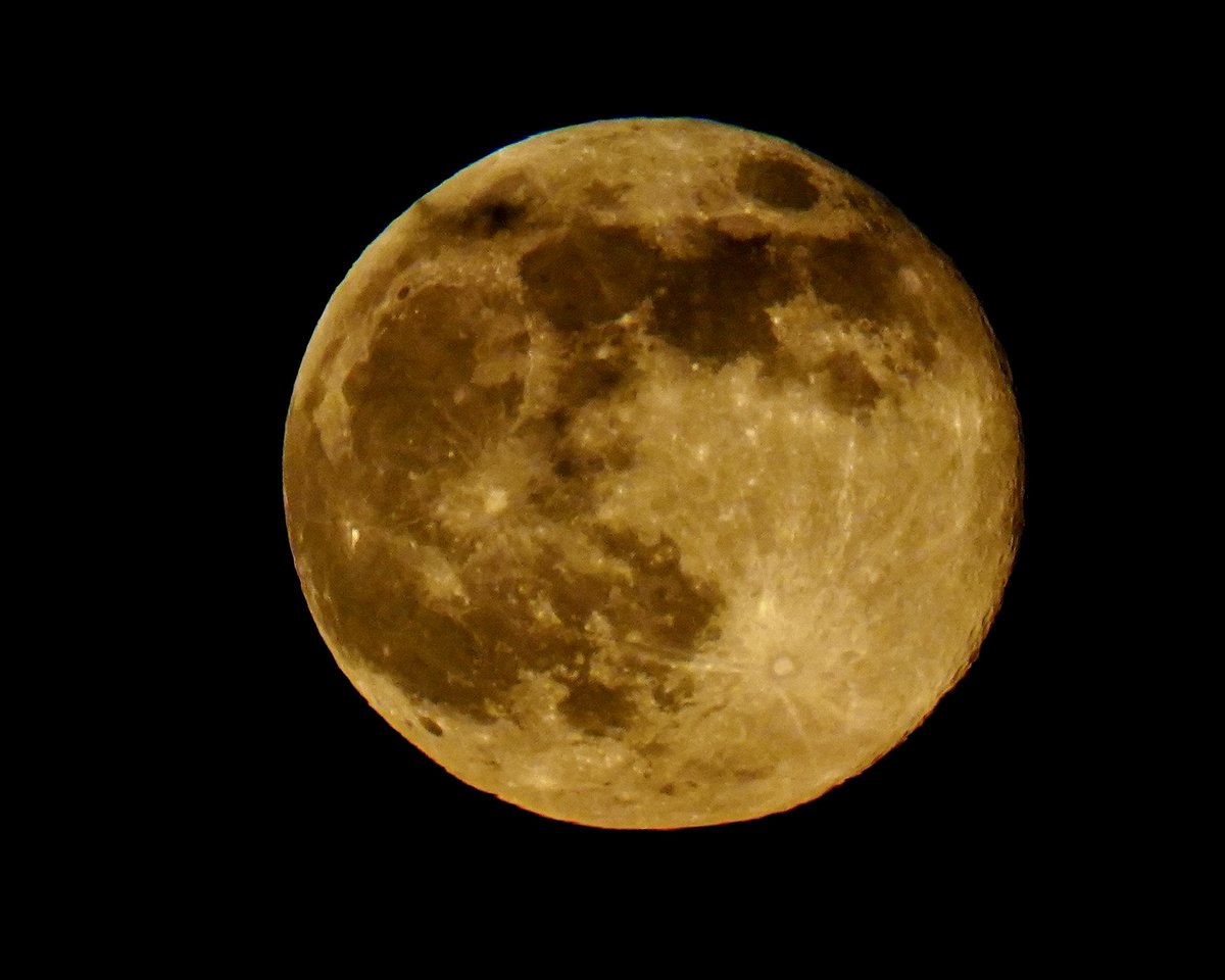 radiolassi's tweet image. Full moon, also known as the Beaver Supermoon from Tampa FL. Captured it before it vanished in the clouds… @PaulFox13