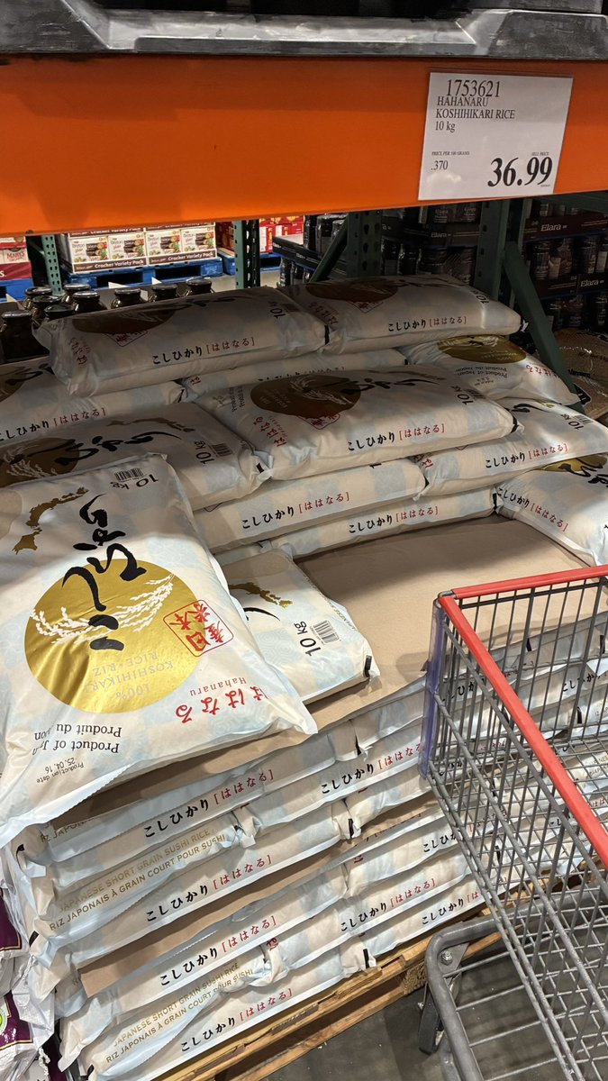 𝙔 𝙅 🇨🇦🐙🌮 tweet media