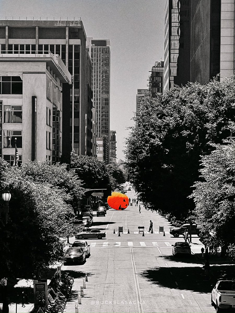 leslie lasagna tweet media