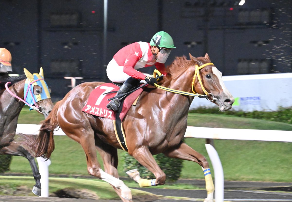 馬のいる景色 なかちぃ on X