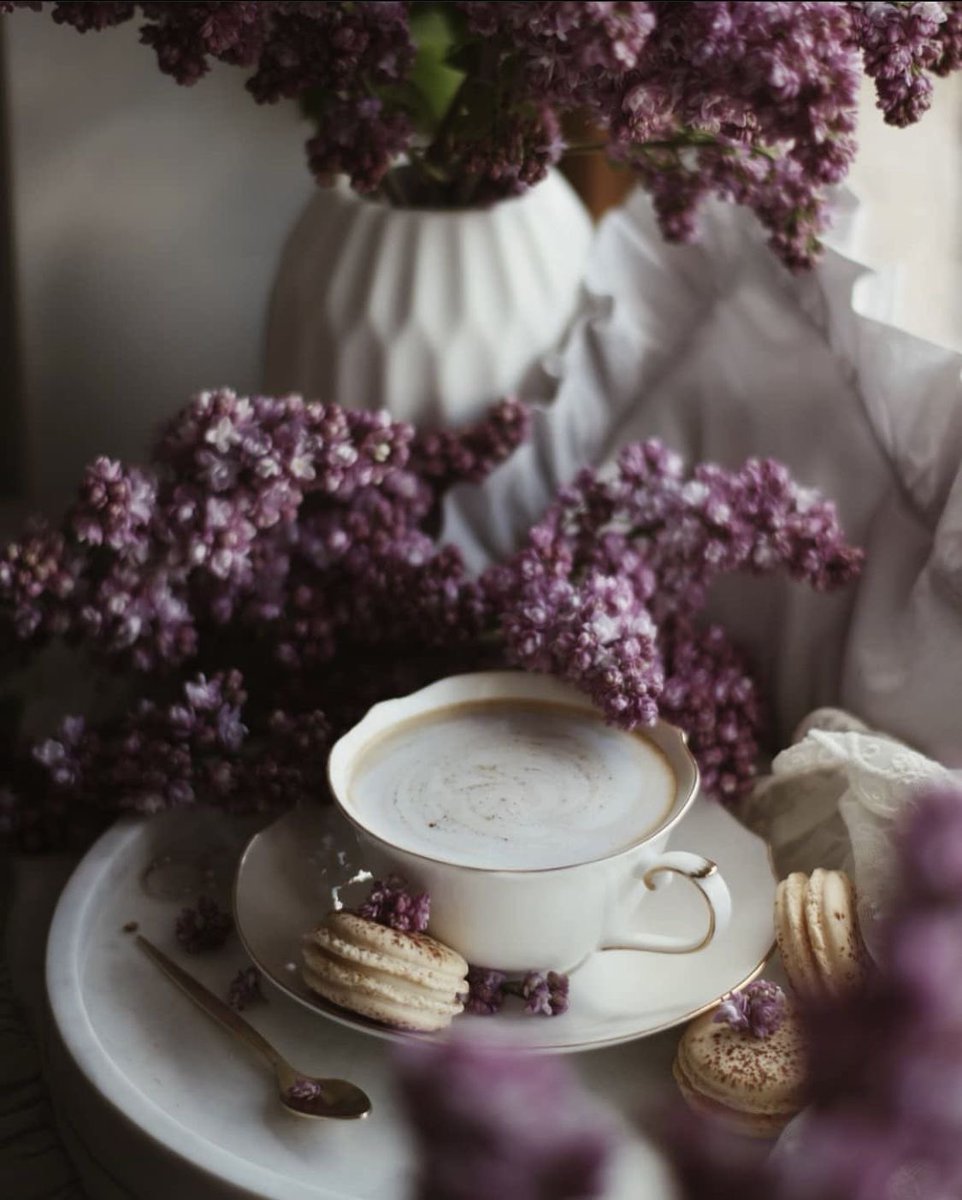 𝘉𝘭𝘶𝘴𝘩𝘪𝘯𝘨 𝘙𝘰𝘴𝘦 (@blushingrose71) on Twitter photo 