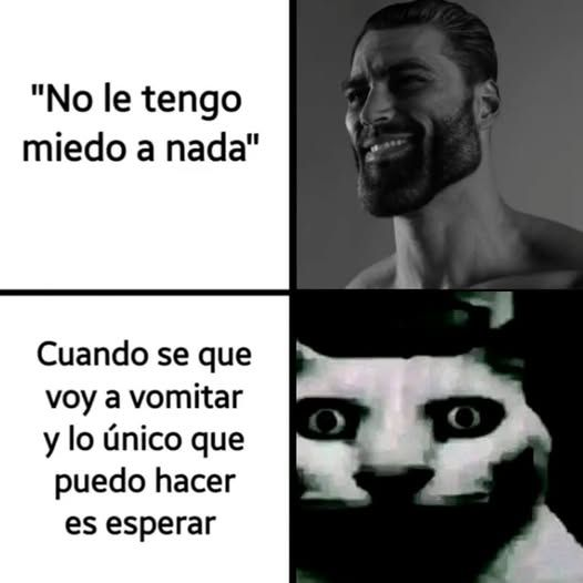 KaguyaSama_Fan's tweet photo. https://t.co/Ew7gT0QFkl