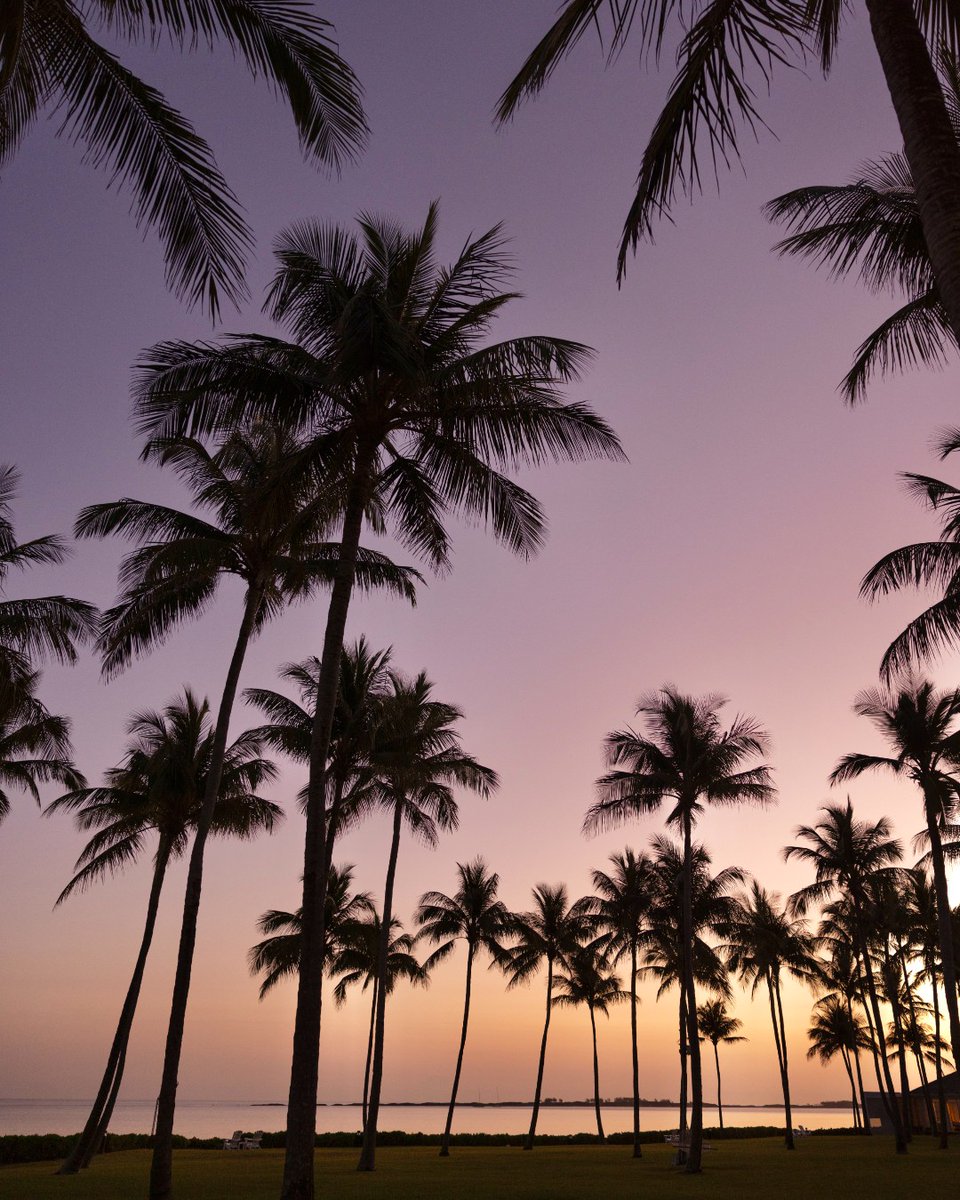 From purple and orange skies to the turquoise sea, #FSOceanClub is the vision of paradise, brought to life. 

Discover more and follow the link to secure your holiday stay: bit.ly/43evN6F.  

#FourSeasons #VisitNPI