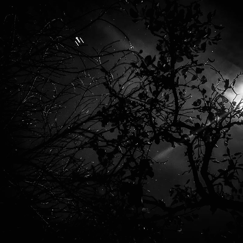 ManouWolff's tweet image. Deep in the night