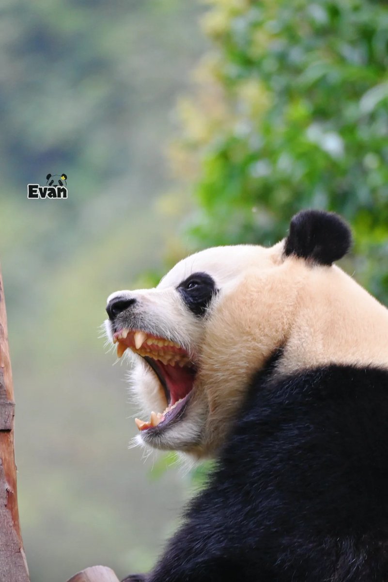 잠이가 안깨 ,,, 💤