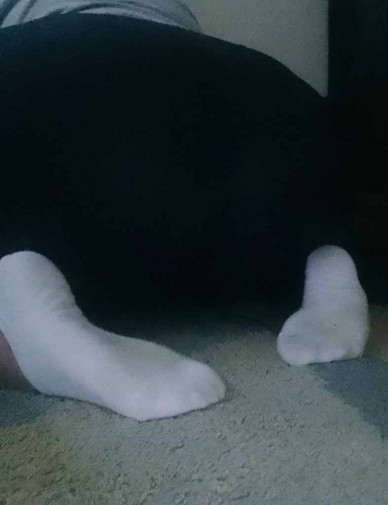 BrattysSubs's tweet photo. Here you go you little white 🧦 lovers! Get on your knees 😈 https://t.co/wDHrAgYctk