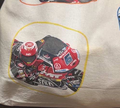 サクラサク様 カードキャプターさくら」コレクション フラグメントケース