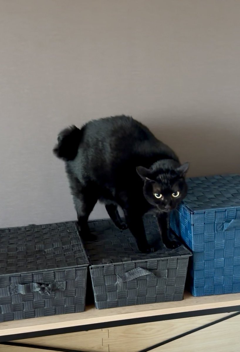 makonosuke®︎ on X