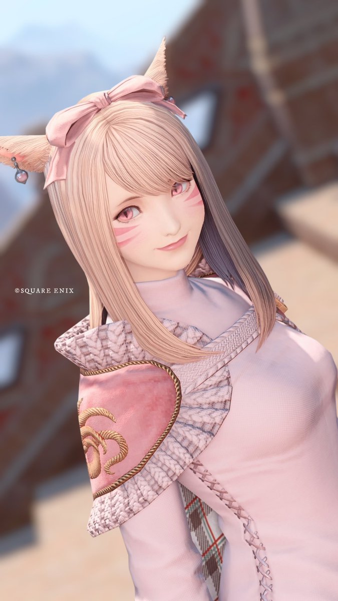 はくとん様❤️おまとめ専用ページです。3/6まで♡ ℂʰⁱᶠᶠᵒⁿ🐾ᴹᵒᶠᵘᵐᵒᶠᵘ on X