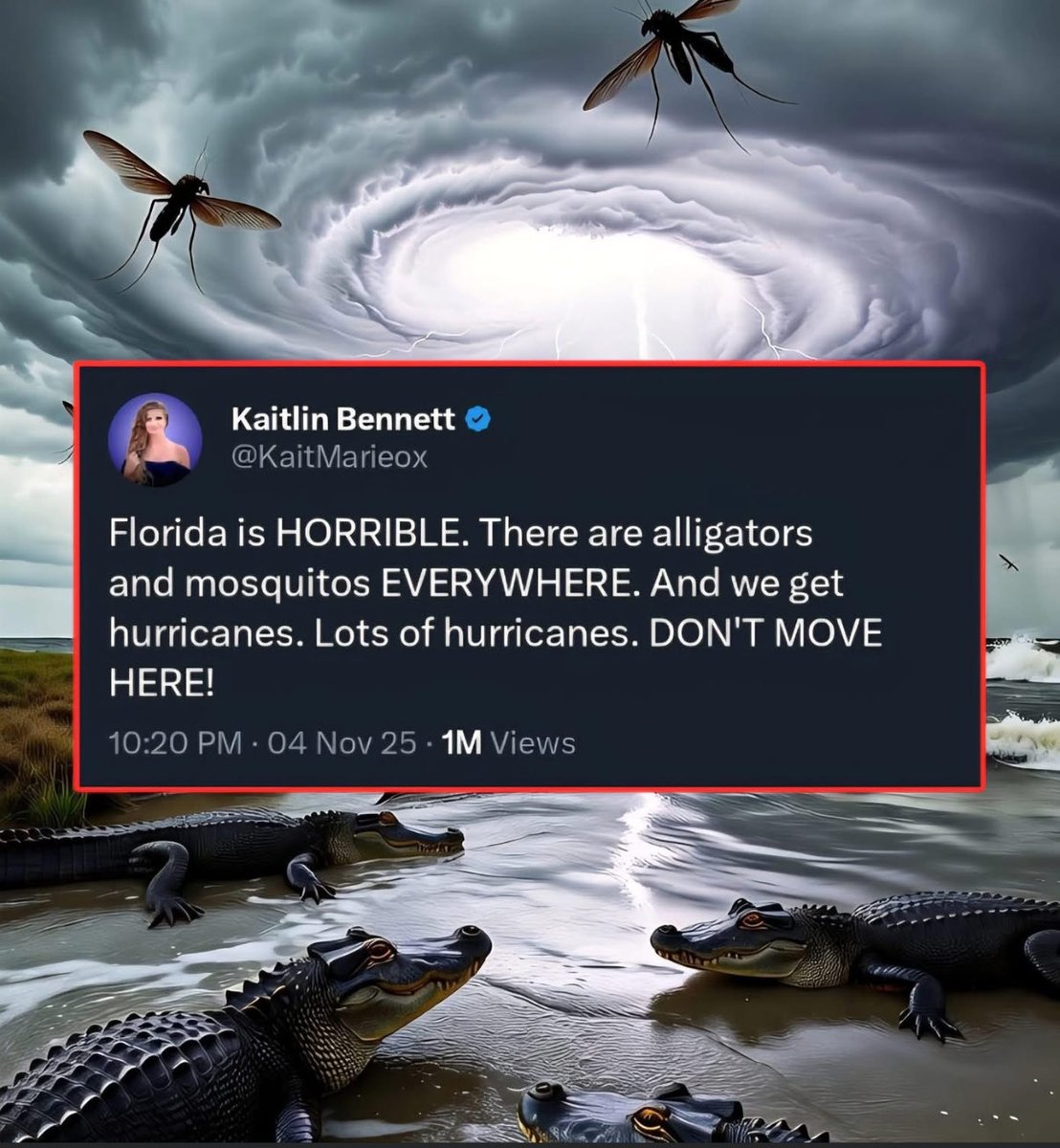 Hey New Yorkers, we have crocodiles now too. Stay in NYC &amp; enjoy your elected Mayor.