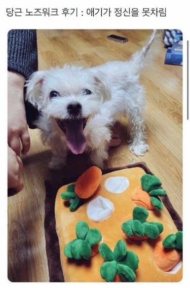 딸기 (@doubledis_) on Twitter photo 