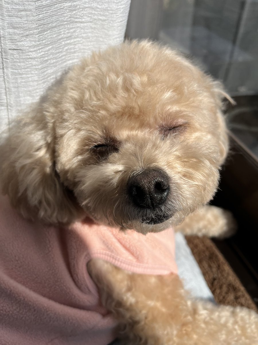 チャーリーママ on X