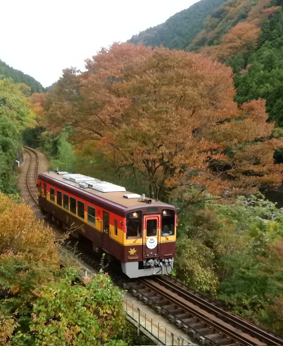 ぶぅちゃん16 on X