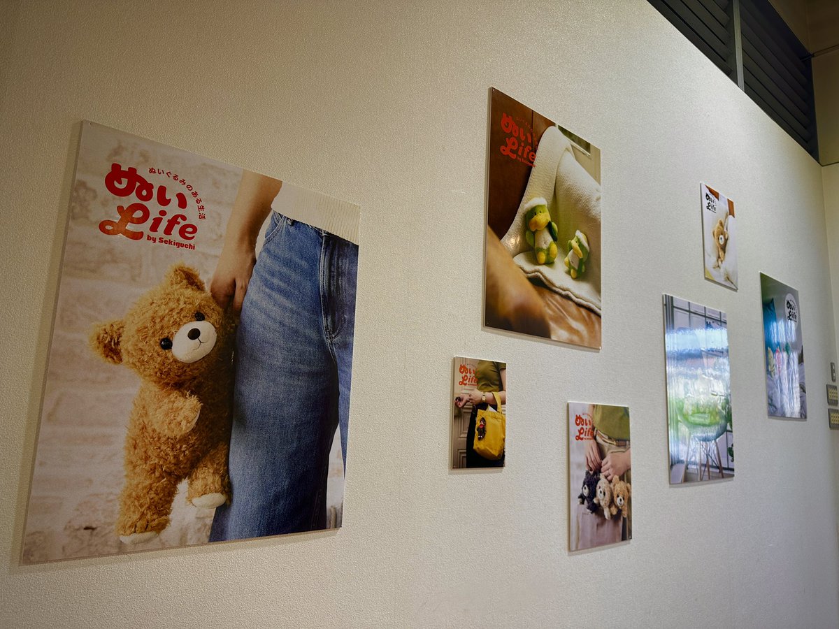 ぬいぐるみのセキグチ【公式】 on X