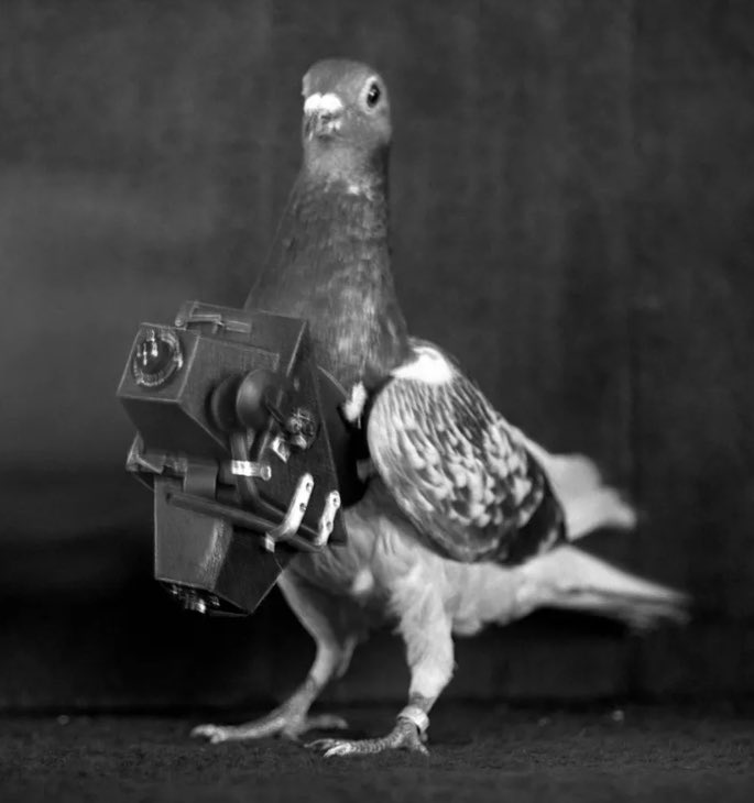 Submitted without comment.