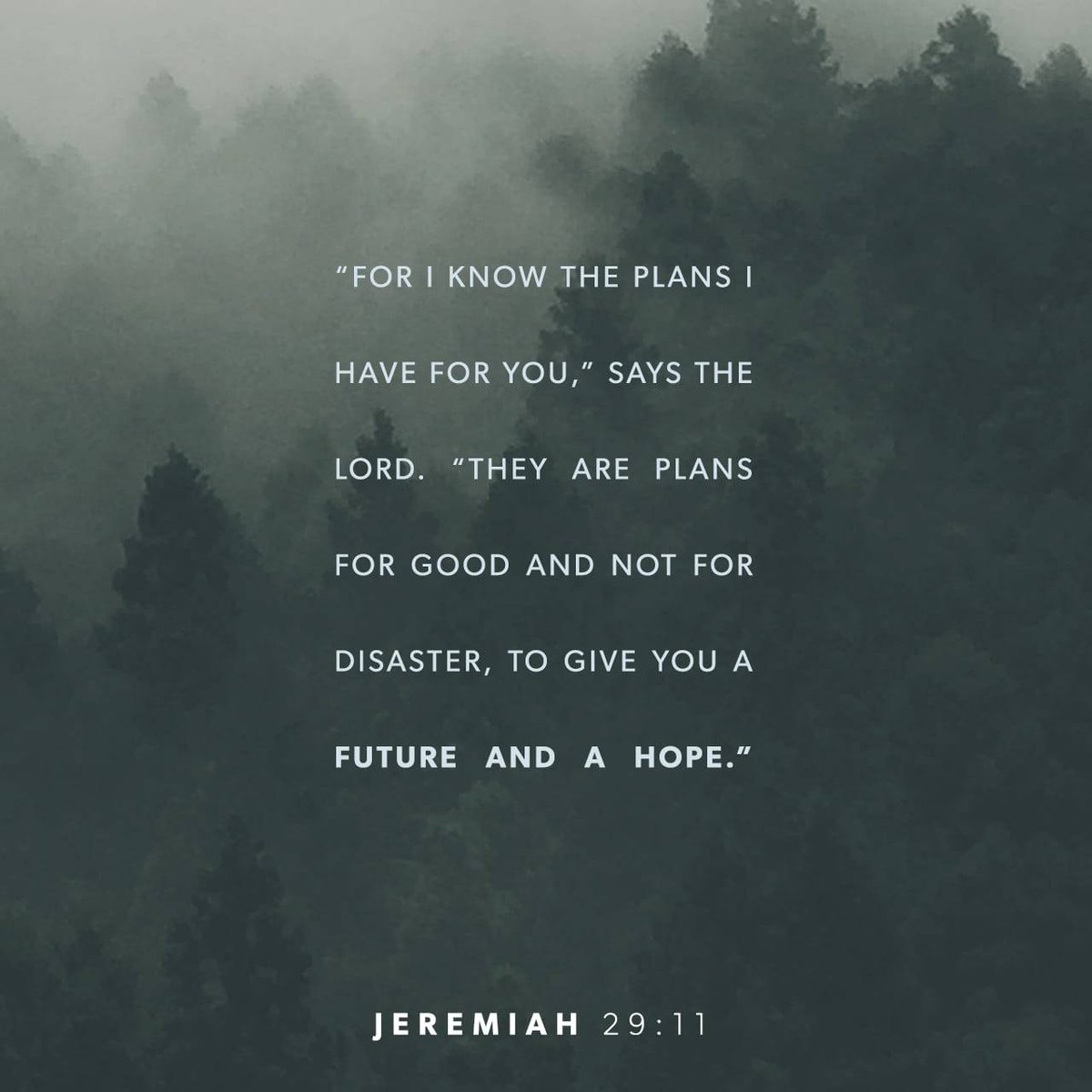 Daily Verse - Jeremiah 29:11