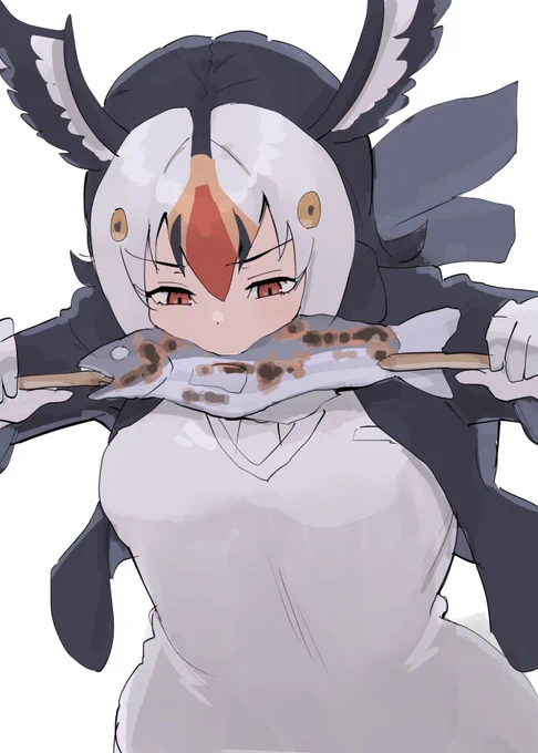 ニシツノメドリ