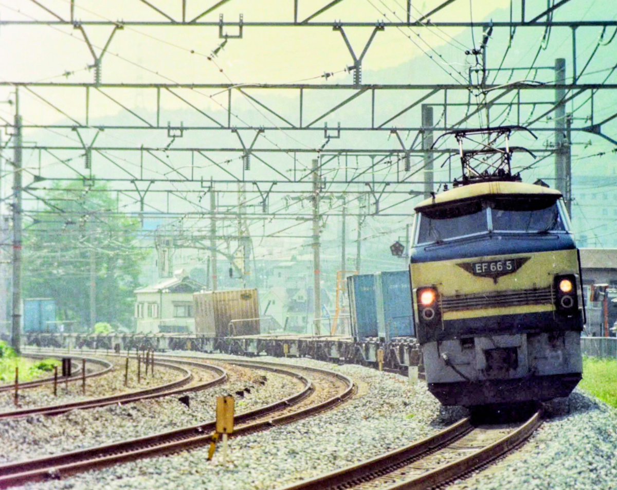 ビナにっく on X