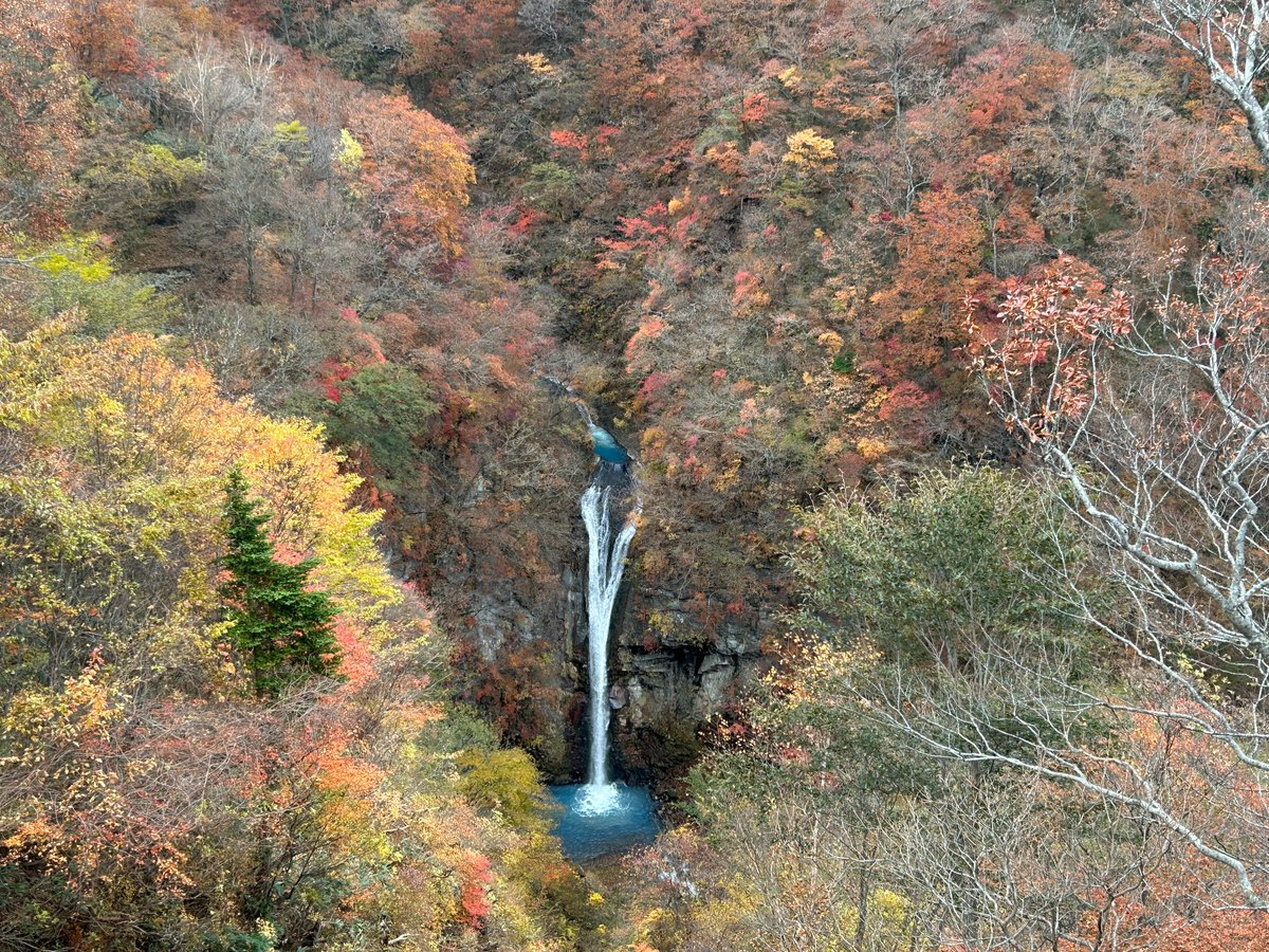 ◇大感謝祭!! Pioneer ART-53D ツィーター ペア m0s8993 ◇大感謝祭